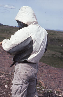 Photograph of Mike Crowell wearing insect repellent clothing near Voisey's Bay, Newfoundland and ...