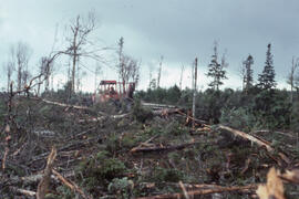 Photograph of forestry equipment skidding logs near Corner Brook, Newfoundland