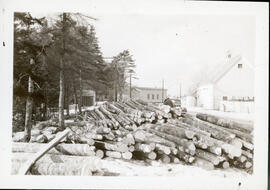 Photograph of piled sawn logs at a site in Hants County