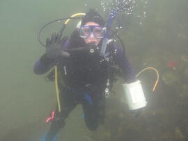 Photograph of diver waving underwater