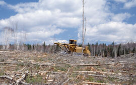 Photograph of crusher equipment amid recently felled forest in the Irving Black Brook District, n...