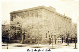 Photograph of Pathological Lab[oratory]
