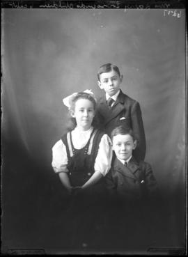 Photograph of the children of Mrs. Harry Townsend
