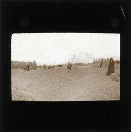 Photograph of people in a field