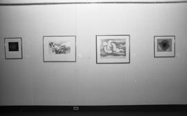 Photograph of an installation at the Dalhousie Art Gallery