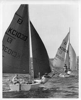 Photograph of sailboats in the Halifax Harbour, Nova Scotia