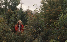 Photograph of an unidentified person standing in an unsprayed plot, Riverside site, central Nova ...