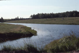 Photograph of the Goose Creek tidal pond, Lunenburg County, Nova Scotia