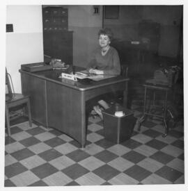 Photograph of an unidentified Island Telephone Company employee