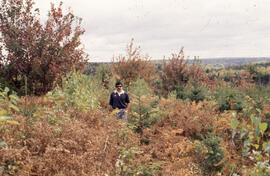 Photograph of Bill Freedman standing in a Riverside plot in the second post-spray year, central N...