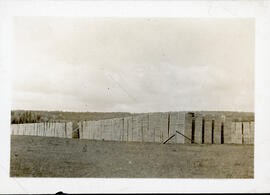 Photograph of yellow birch stave wood prepared for shipment