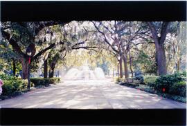 Picture of Savannah, Georgia