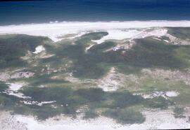 Aerial photograph of Sable Island grasslands