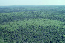 Aerial photograph of a dense natural forest landscape in Fundy National Park, New Brusnwick