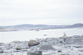 Photograph of a plane landing on the water near Cape Dorset, Northwest Territories