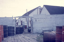 Photograph of a white fence with a gate in Nain, Newfoundland and Labrador