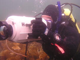 Photograph of diver using equipment underwater