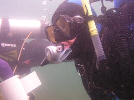 Photograph of diver using equipment underwater
