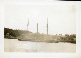 Photograph of an unidentified tern schooner loading logs at Sheet Harbour