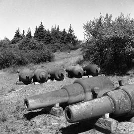 Photograph of old cannons on McNab's Island