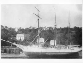 Photograph of the "Ladysmith" fully rigged