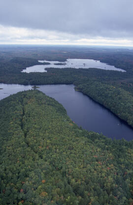 Aerial photograph of mixed Acadian forest near two lakes in the Tobeatic Wilderness Area, southwe...