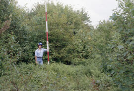 Photograph of an unidentified researcher conducting forest biomass measurements at Plot D, at an ...