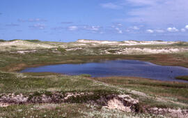 Photograph of a freshwater pond near the western lighthouse on Sable Island