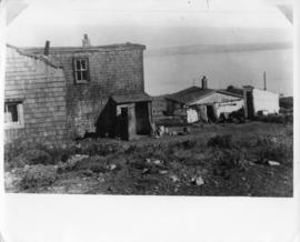 Photograph of houses in Africville