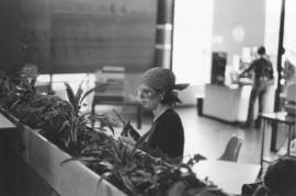 Photograph of a staff member trimming plants in the Student Union Building cafeteria