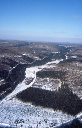 Aerial photograph of forestry cut overs in northern New Brunswick