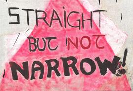 Straight but Not Narrow Pride banner