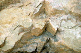 Photograph of rocks in Cape Dorset, Northwest Territories