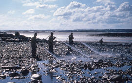 Photograph of four unidentified people spraying oil-covered rocks on the Brittany coast after the...