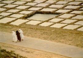 Photograph of robed women walking near fish farms/pools