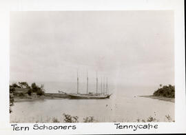 Photograph of two tern schooners in port at Tennycape, Hants County