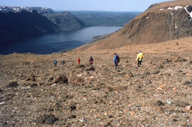 Photograph of six unidentified people walking across the barren serpentine uplands of Gros Morne ...