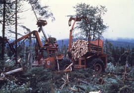 Photograph of feller buncher machinery gathering felled logs