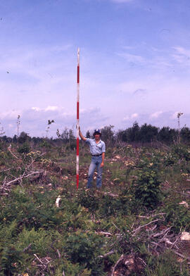 Photograph of an unidentified researcher conducting forest biomass measurements at Plot A, one ye...