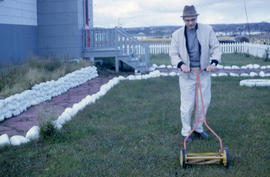Photograph of a man mowing his lawn