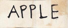 APPLE (Atlantic Provinces Political Lesbians for Equality) Pride banner