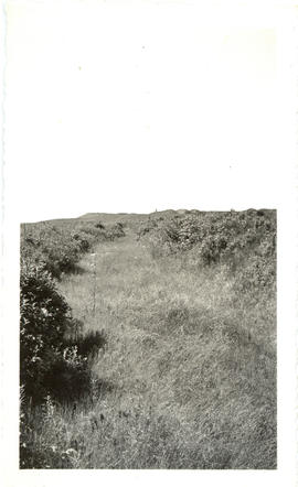 Photograph of Fort Beausejour taken from one of the flanking trenches