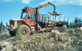 Photograph of a crane loading felled trees onto a truck in the Irving Black Brook District, north...