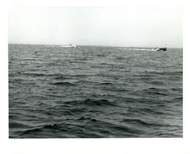 Photograph of two fishing boats sailing on open water near Cape Sable Island