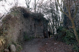 Photograph of two unidentified people walking through the ruins at Drachenfels