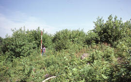 Photograph of an unidentified researcher conducting forest biomass measurements at Plot 5, a five...