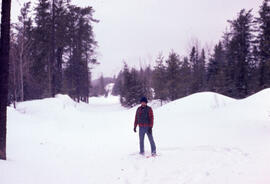 Photograph of Bill Freedman standing on a snowy mining access road, near Sudbury, Ontario