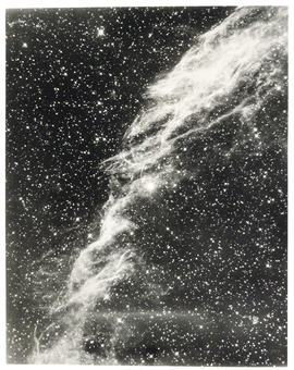 Photograph of the filamentary nebula in Cygnus
