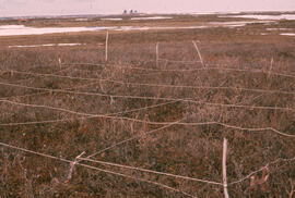 Photograph of an overview of the Lupin control site, near Tuktoyaktuk, Northwest Territories