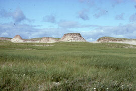 Photograph of a grassy plain on Sable Island